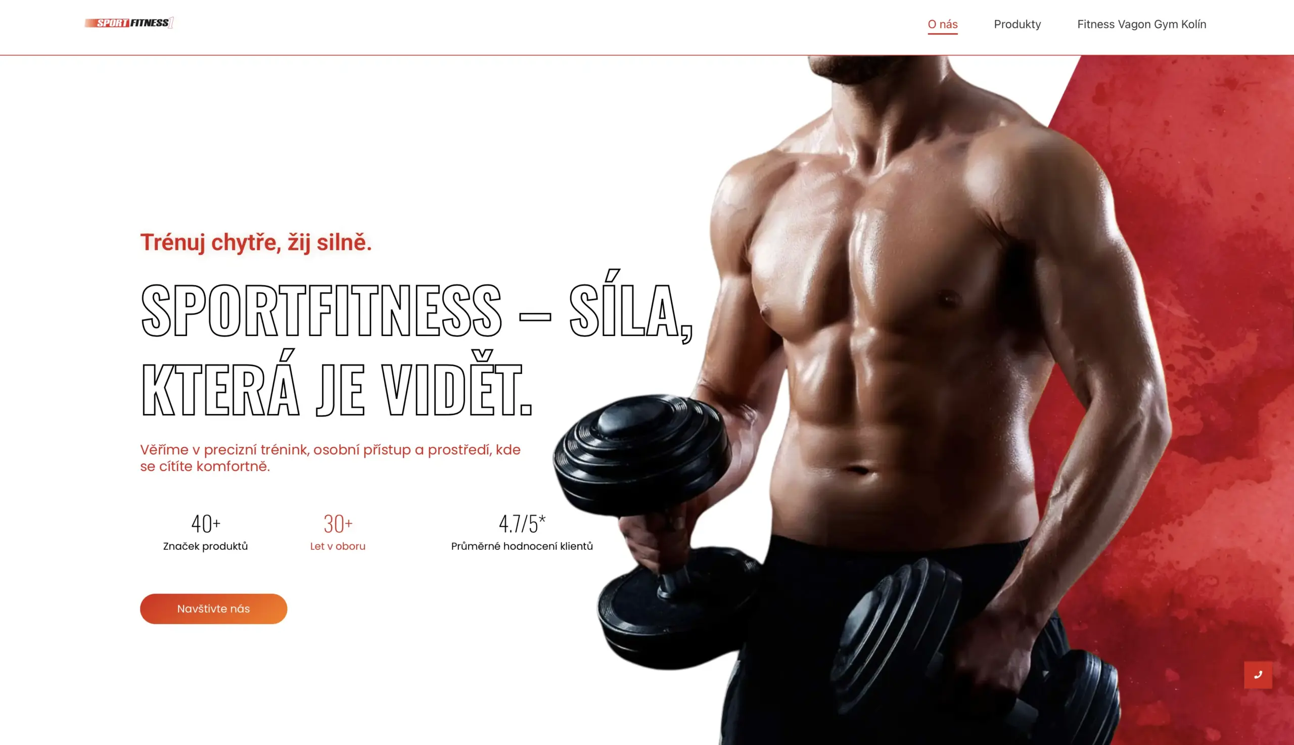 SportFitness website product catalog